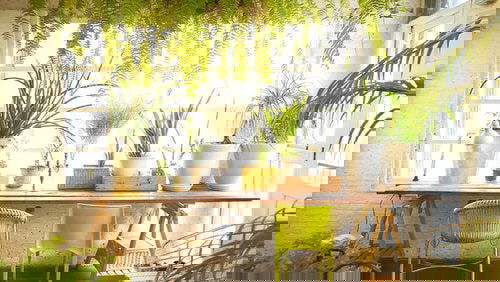 Indoor Plants Dining Room DÃ©cor Ideas 2