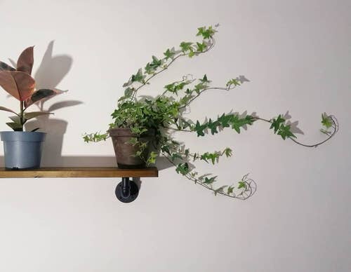 Indoor Climbers Pictures 7