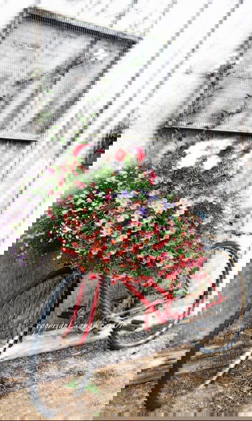 Insanely Instant Ideas to Decorate Your Garden 26