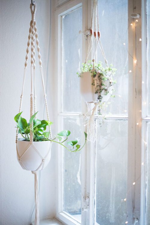 Wall Planter Macramé Ideas 4