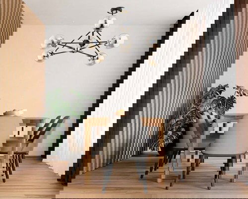 Pictures of House Plants in the Dining Room 2