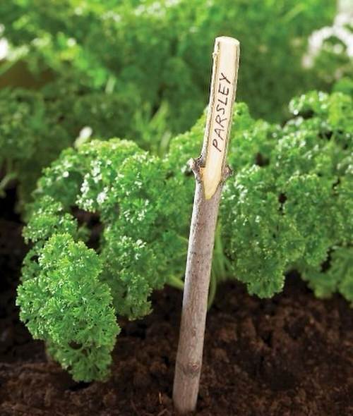 Garden Projects Using Sticks and Twigs 5