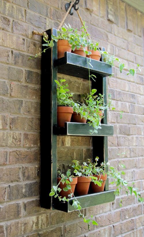 DIY Herb Wall Ideas 8