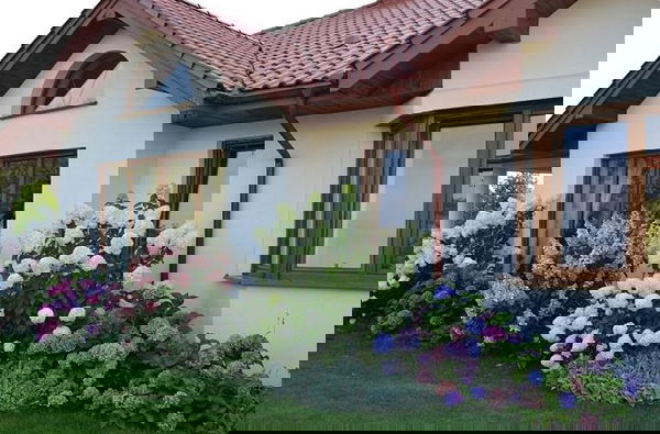 landscaping with hydrangea (2)_mini