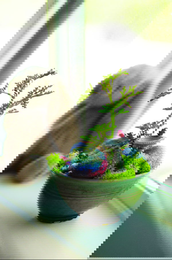 DIY Miniature Fairy Garden Ideas