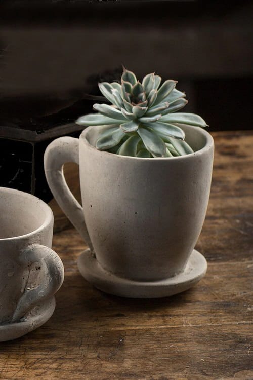 Coffee Mug Planter Ideas 4