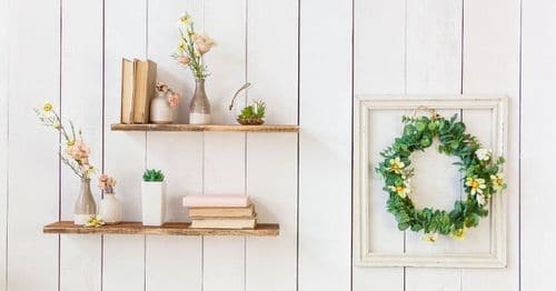 Plant Shelves Ideas 2