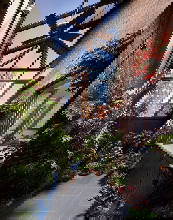 terrace garden tips 25