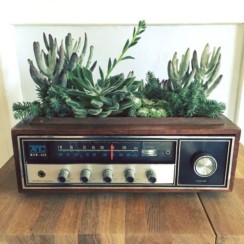 These Pictures Prove You Can Plant Succulent Anywhere 20