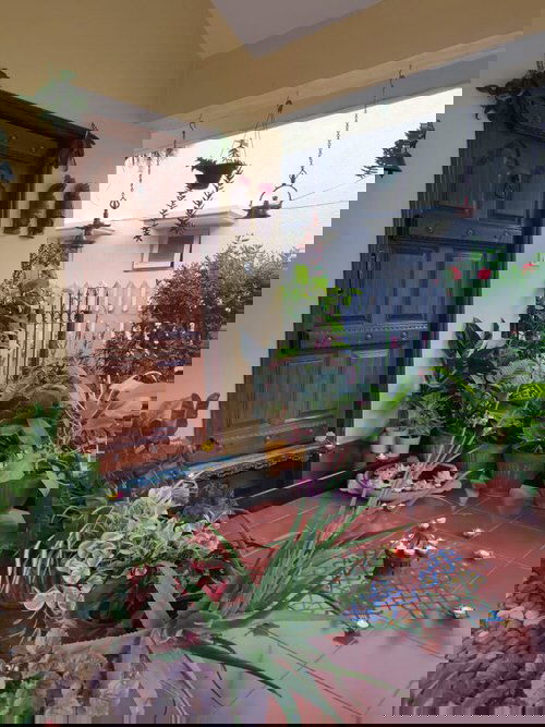 Best Entrance Plants Pictures 16