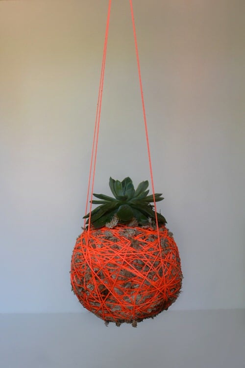 Unique DIY Kokedama Ball Ideas 3