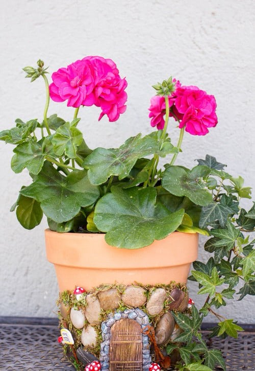 DIY Miniature Fairy Garden Ideas 4