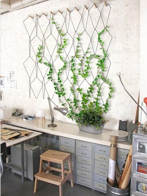 Indoor Climbers Pictures