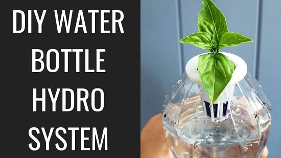 Hydroponic Herb Garden DIY 7