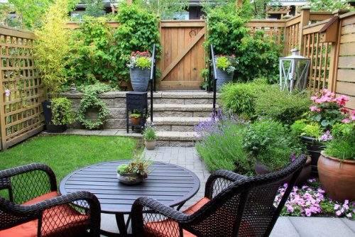 Patio Wall Decorating Ideas with Plants 7