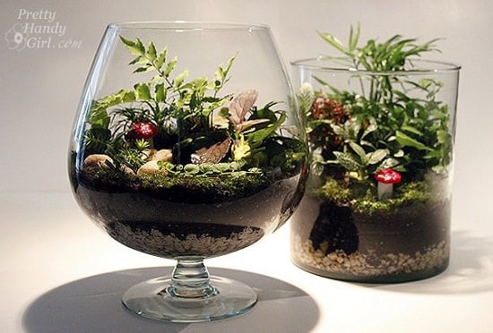 Glass Container DIY Terrarium Ideas