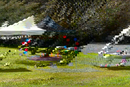 Must Do Things in Garden in Summers 7