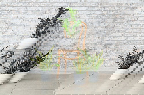 Plant Stand Design Ideas for Indoor Houseplants 5