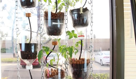 DIY Hydroponic Gardens