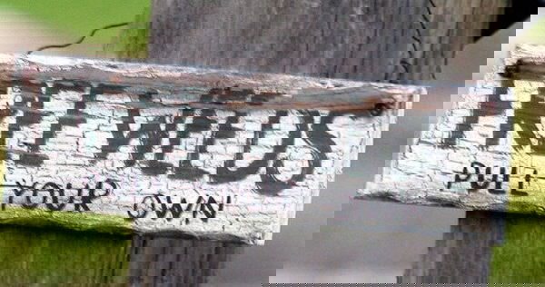 garden sign ideas (7)