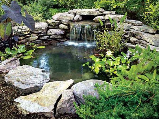 DIY Backyard Pond
