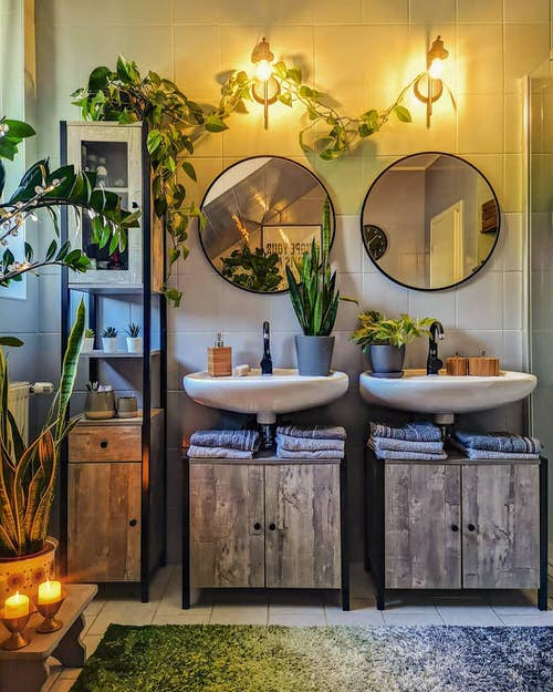 Best of Indoor Plant Décor on Instagram