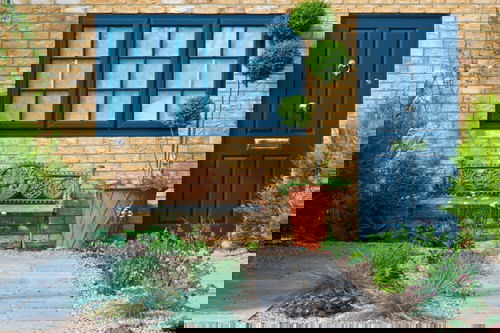 Best Entrance Plants Pictures 10