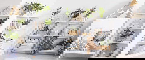 Plant Shelves Ideas 5