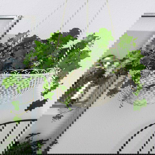 How IKEA Pots Change the Look of Indoor Plants 10