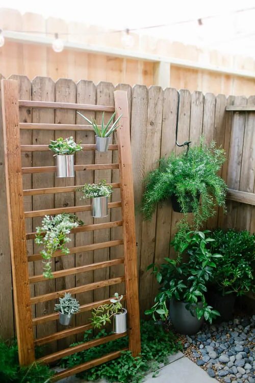 Outdoor Succulent Decoration Pictures 8