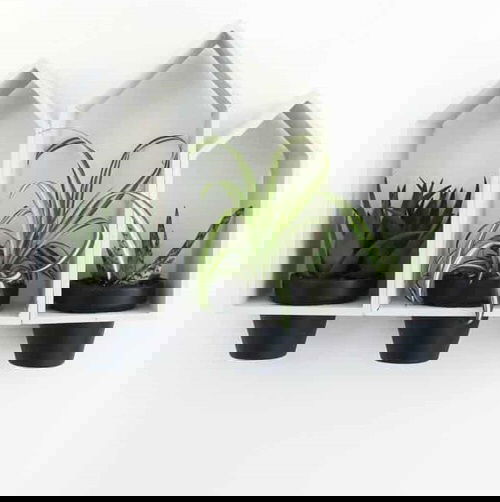 DIY Planter Hacks 13