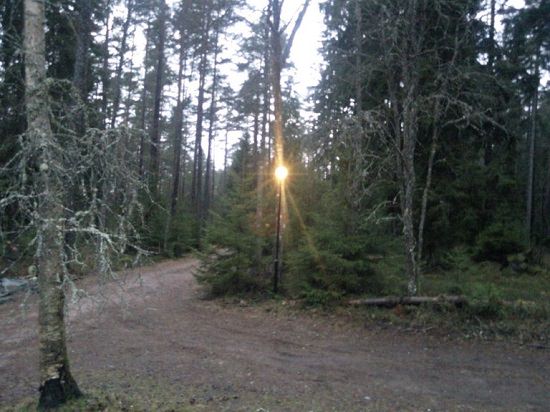 DIY Lamp Post Ideas 4