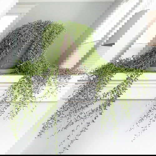 Pictures of Cascading Plants in Home 4