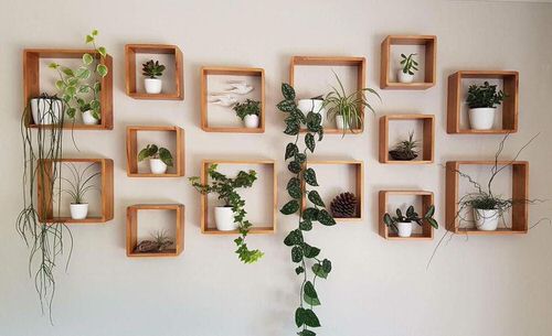 Artistic Plant Wall Art Ideas for Home DÃ©cor 2