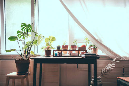 Windowsill Decor Ideas with Plants 9