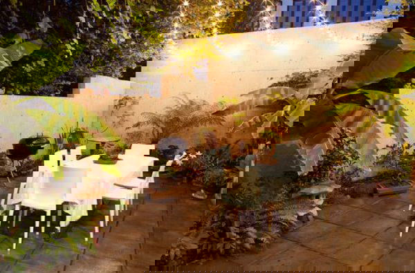 terrace garden tips 24