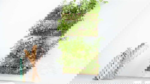 DIY Herb Wall Ideas 2