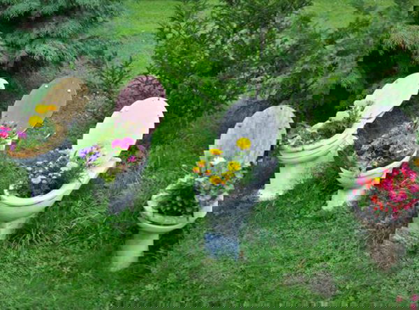 crazy-toilet-planter