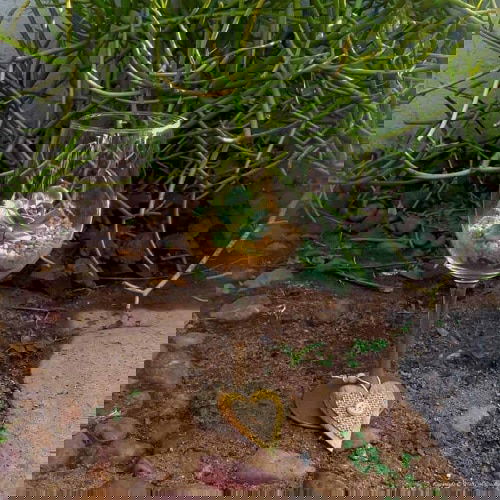 Things to Do with Wine Glasses 8