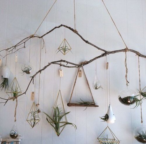 Mini Vertical Garden Ideas with Air Plants 11