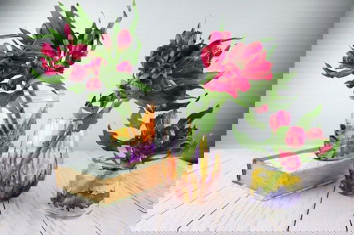 DIY Plant Gift Ideas for Christmas 11