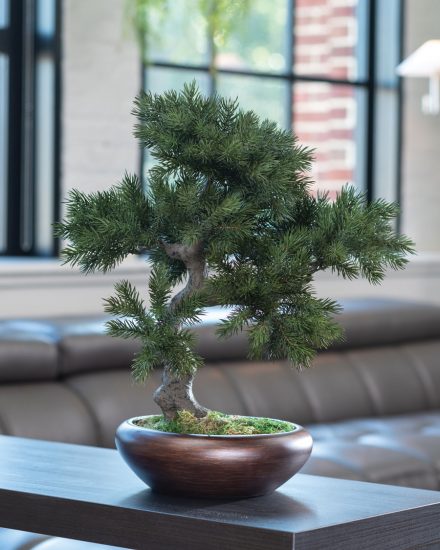 Tiny Tabletop Garden Ideas 10