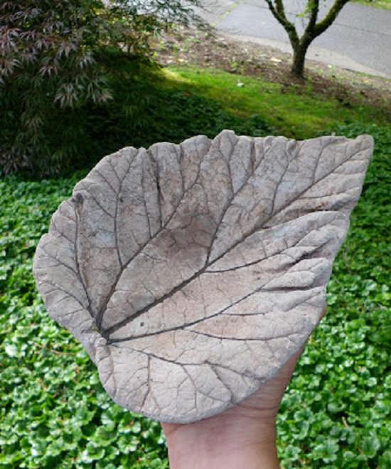 DIY Cement Garden Ideas that can transform the look