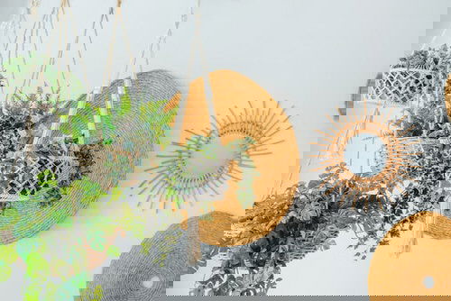 Wall Planter Macramé Ideas