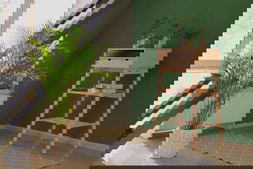 Décor Ideas with Indoor Palms 7