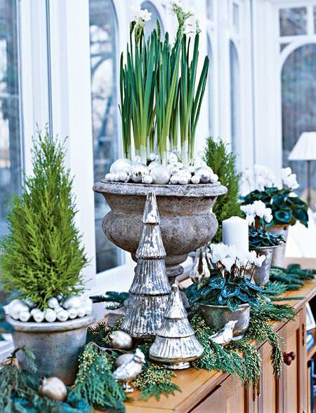 Christmas Decor Ideas with Plants 7