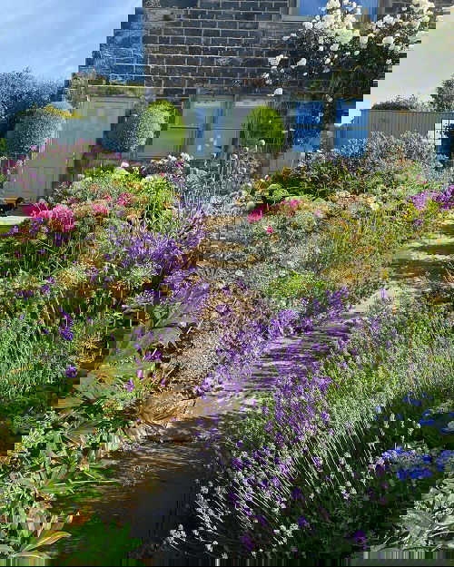 Landscaping with Lavender 10