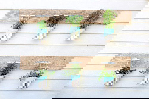 Make Your Own Hanging Garden 10