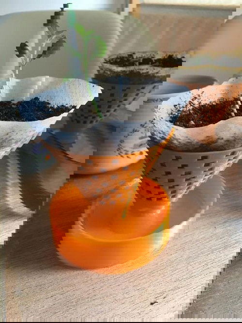 Pinterest Garden Hacks