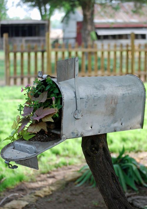 Vintage Garden Decor Ideas 8